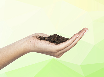 Аграрии в 2022 году продолжат получать льготные кредиты