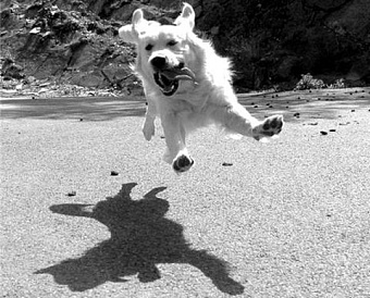 За I квартал 2022 года бизнес возместил 120 млрд рублей НДС в ускоренном порядке