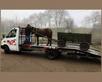 Есть ли у фирмы льготы по имущественным налогам - ИФНС может выявить сама