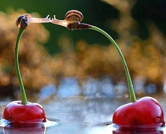 Результаты II этапа аудиторского экзамена, проводимого ЕАК, может зачесть АССА