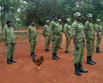 ФНС не против перестановок среди граф счета-фактуры: главное - соблюсти состав показателей