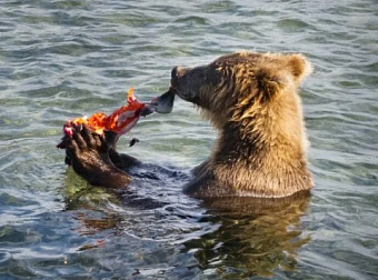 Кабмин внес проект о налоговых льготах для новых организаций на Курилах