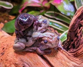 Наиболее важные новости недели 16-20 мая 2022 года