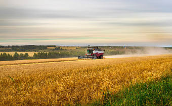 Инвестиции в Сибирь могут быть выгодными в долгосрочной перспективе