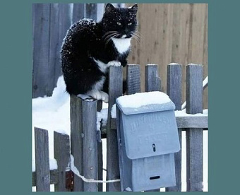 Как уведомить налоговую о получателе документов, посылаемых ею - вышел порядок