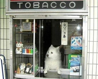 Фискальный накопитель сломался, и срок его вышел: как снова зарегистрировать ККТ