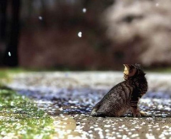 Сегодня - крайний срок уплаты некоторых налогов, включая удержанный НДФЛ