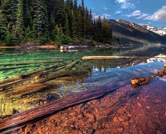 Как можно и как нельзя прервать течение срока для включения кредиторки в доходы