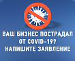 ФНС сделала страницу по новым субсидиям - можно по ИНН оценить свои шансы
