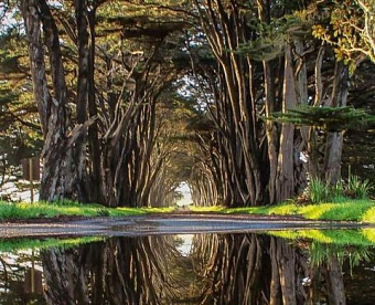 Участки общего назначения в СНТ облагаются по ставке до 0,3%: как их определить