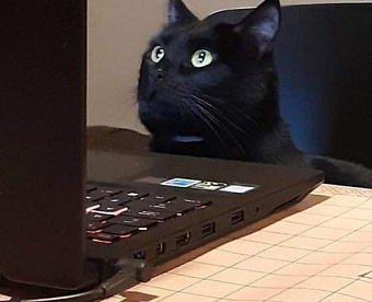 Достаточно ли аудиторской организации иметь страницу на сайте группы компаний