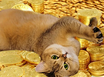 Госдума отменила взимание НДС на инвестиционное золото для граждан