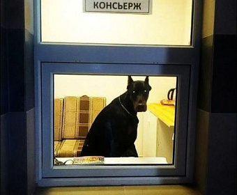 ВС поддержал частичное взыскание индексации пенсии с работодателя, опоздавшего в СЗВ-М