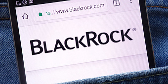 BlackRock вложила в стратегии устойчивого развития $509 млрд в 2021 году