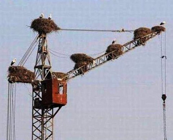 Когда надо выставить счет-фактуру по строительно-монтажным работам