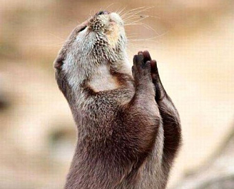 Проект дисциплинарного кодекса СРО: штрафы для фирм смягчены заметнее, чем для людей