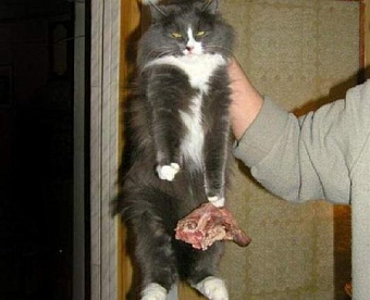 Как бизнесу вернуть суммы единого налогового платежа - форма заявления