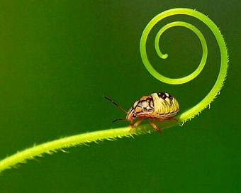 Егоров рассказал, какими он видит облегченную упрощёнку и единый налоговый платеж