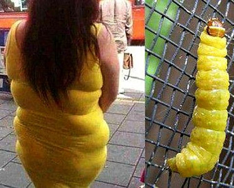 ФНС разъяснила, когда в стоимость запасов включать премии и льготы от поставщика