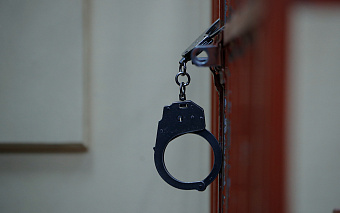 МВД пресекло деятельность финансовой пирамиды, нанесшей ущерб в ₽9 млрд