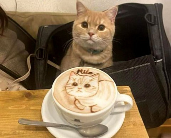 Электронный чек можно найти в приложении ФНС - можно подтвердить расходы