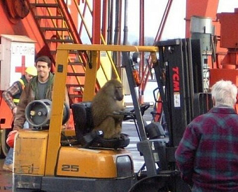 Путин предложил отсрочить уплату страхвзносов для тех, кто работает на внутренний рынок