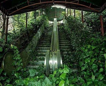 Есть ли право на новую "коронавирусную" субсидию - можно проверить через сервис ФНС